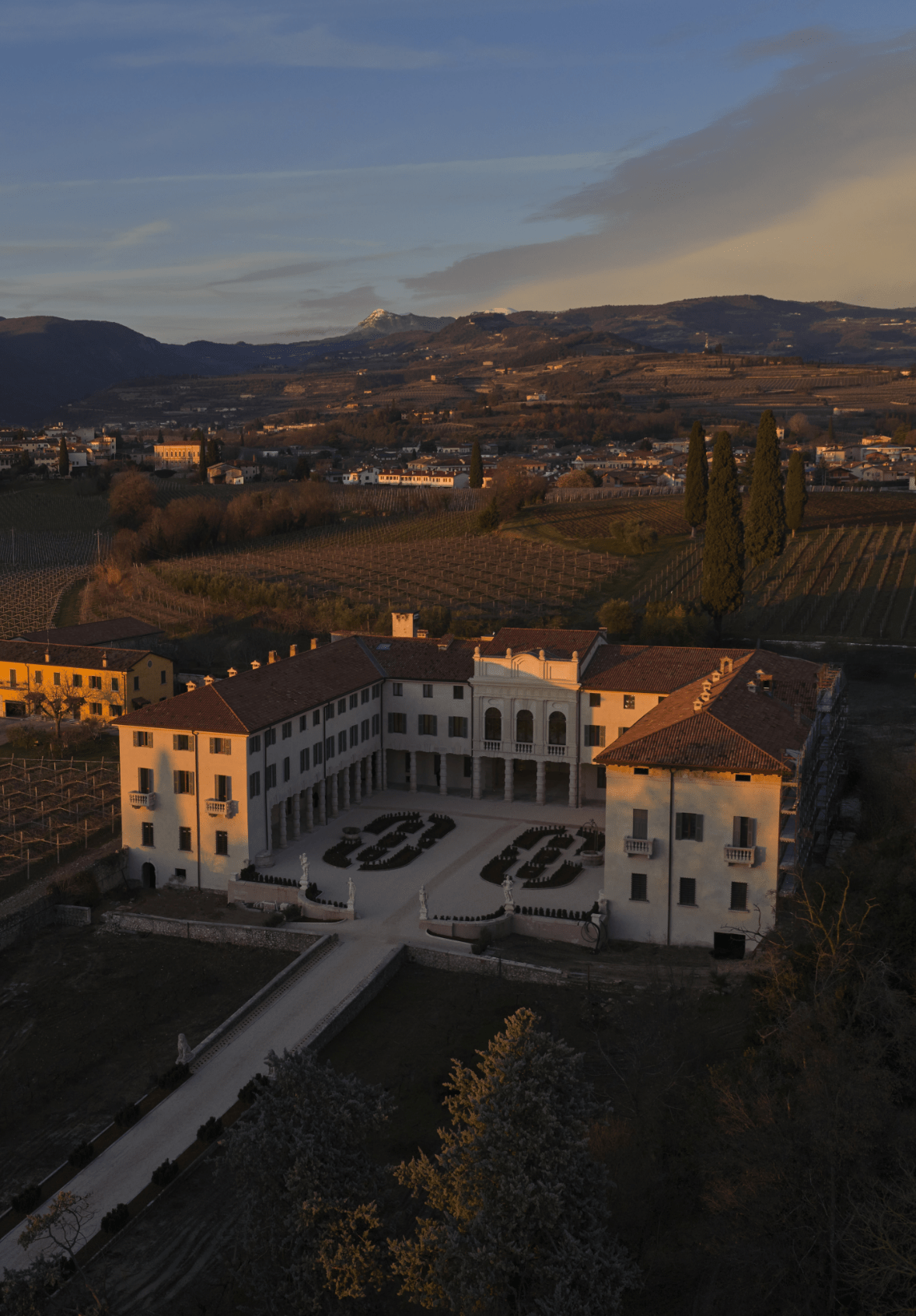 Bellamore_drone_tiff 1